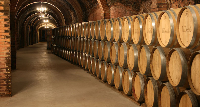 Ribera del Duero; “quizás” los mejores vinos del planeta