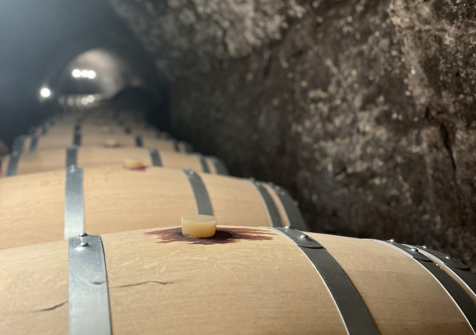 Ruta del vino Ribera del Duero