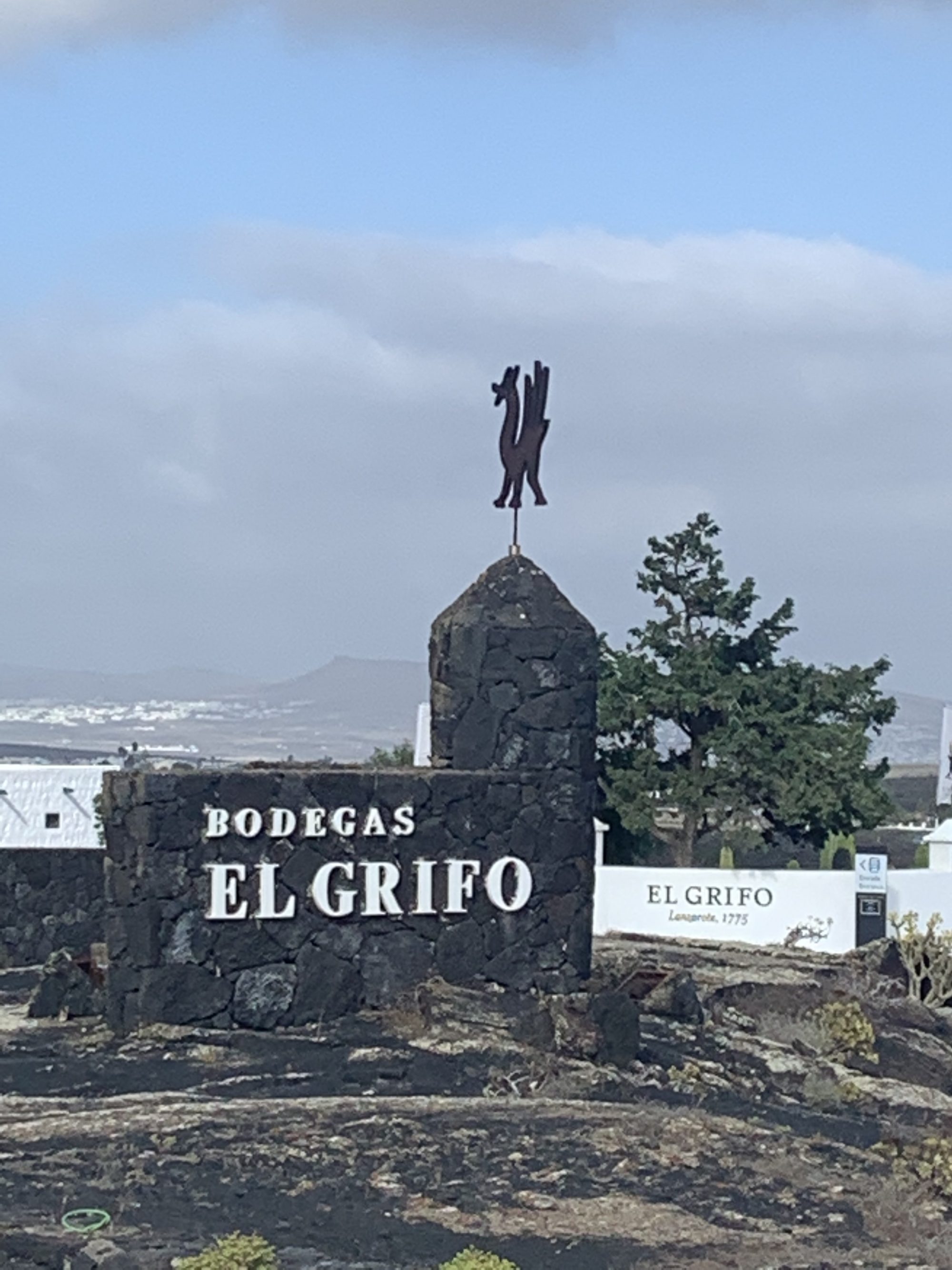 Bodegas El Grifo: 250 años de viticultura volcánica y un símbolo cultural de Lanzarote